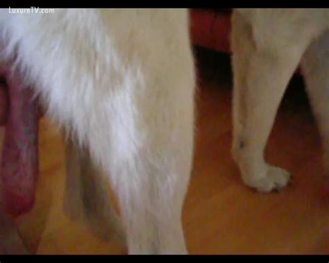 Horny Doxy Milking Her Pets Ramrod XXX FemeFun