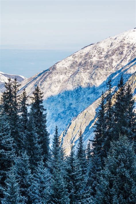 Winter Mountains Near Almaty In Kazakhstan Stock Photo - Image of pine ...