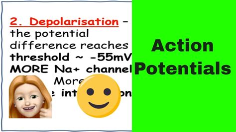 Action Potential A Level Biology Youtube