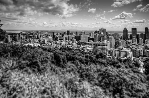 Photo du jour: Montreal Skyline from Mount Royal - Spacing Montreal ...