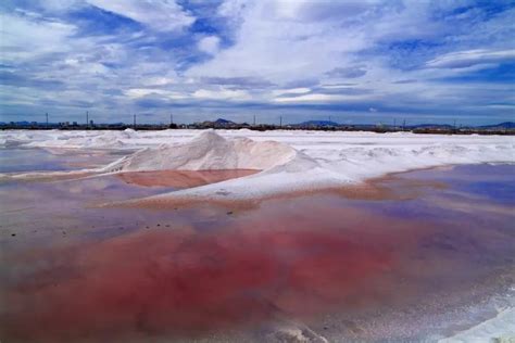 San Pedro Del Pinatar Sud Est Della Spagna Come Muoversi Nel Parco