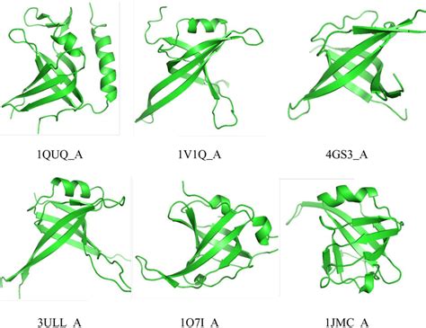 Six Templates Of The OB Fold Domain They Show Structural Similarity