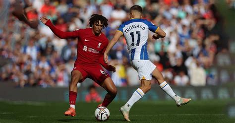 Brighton Vs Liverpool Live Stream Telecast Live Score How To Watch