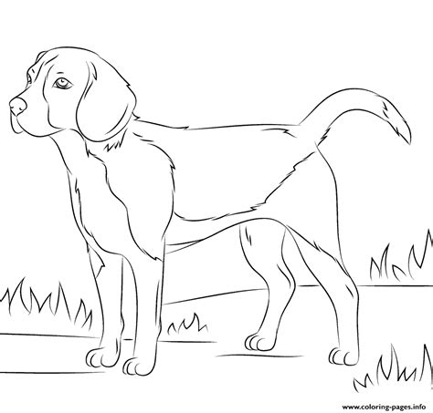 Realistic Dog Coloring page Printable