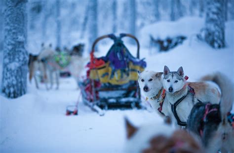 6 Jours 5 Nuits Nord De La Laponie Finlandaise Cercle Polaire