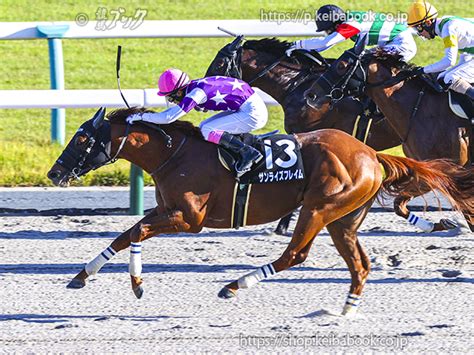 連勝中の4歳馬2頭が根岸sで重賞初挑戦 ニュース 競馬ブック