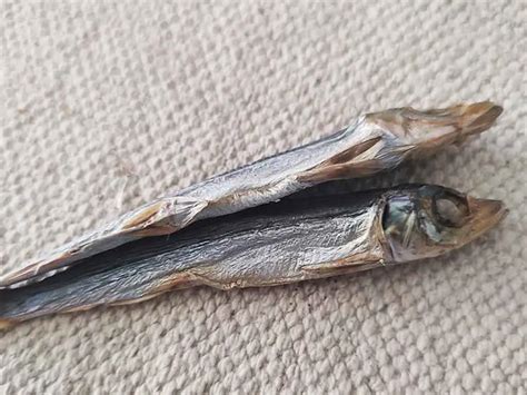 Try Japanese Dried Fish Snacks As They Are Super Nutrient