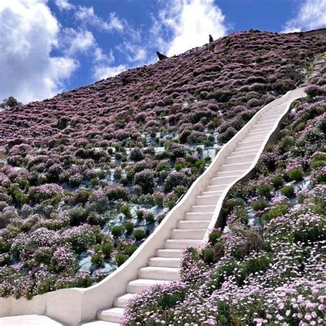 Flora Park Di Cameron Highlands Cerita Malaysia