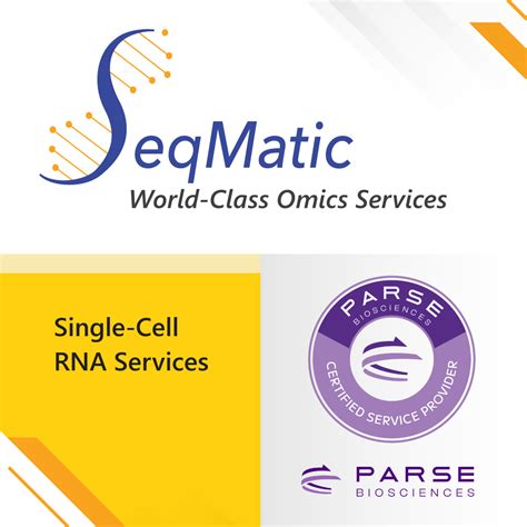 Single Cell Parse Evercode Services Seqmatic