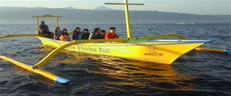 Bali Dolphin Tour Sunrise Watching Dolphin At Lovina Beach And North