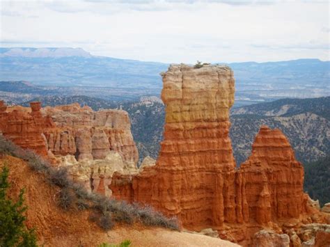 A Hoodoo in Bryce Canyon | Smithsonian Photo Contest | Smithsonian Magazine