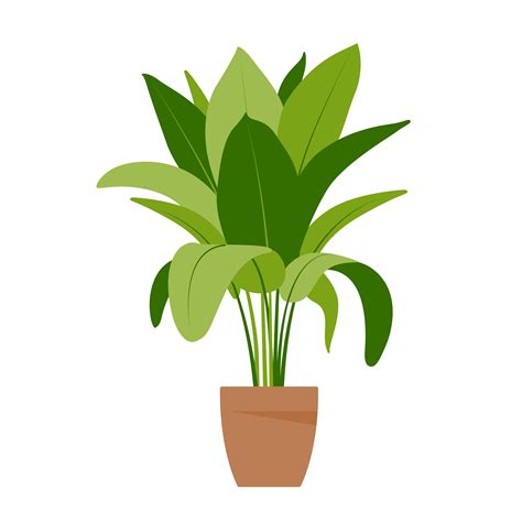 Home Plant Potted Plant Isolated On White Flat Vector Illustration