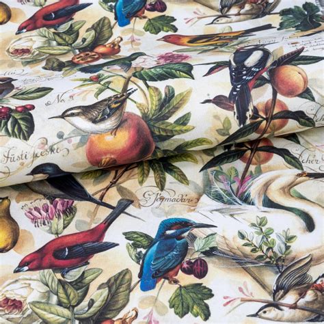 Birds And Fruit By Bomo Art Wrapping Paper Large Learn Bookbinding