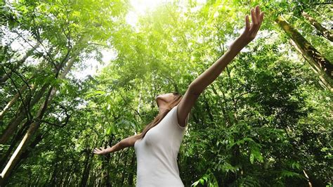 Cómo es vivir en armonía con la naturaleza