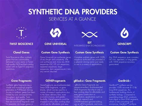 Synthetic DNA provider infographic