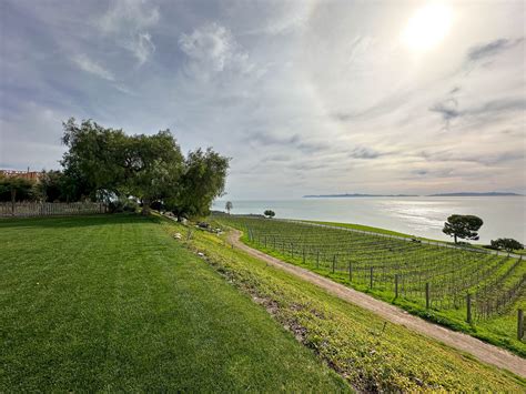 Ocean Vineyard Wedding Estates