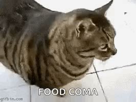 Stuffed Full GIF - Stuffed Full Food Coma - Discover & Share GIFs