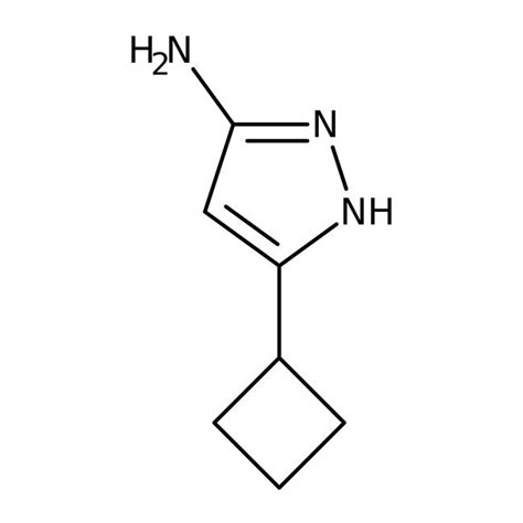 3 Amino 5 Cyclobutyl 1H Pyrazole 97 Thermo Scientific Chemicals