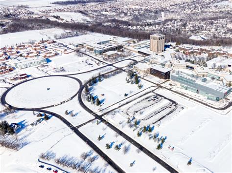 brock maintains  high rating  stable trends  dbrs morningstar