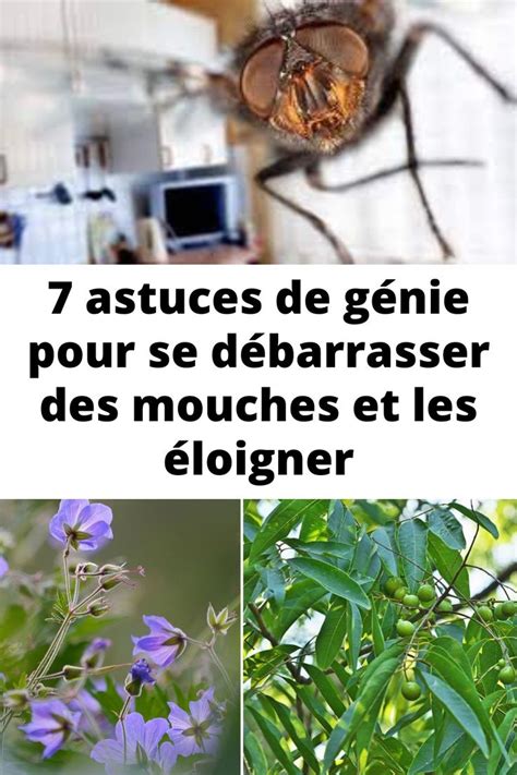 Four Different Pictures With The Words 7 Astuces De Genee Pour Se