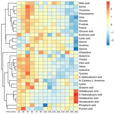 Metabolites Free Full Text Postprandial Metabolic Effects Of Fiber