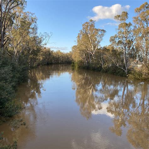 Goulburn Suspension Bridge 2025 All You Should Know Before You Go W