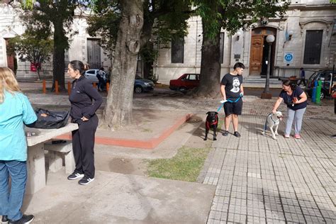 Campaña Municipal De Vacunación Más De 30 Mascotas Ya Fueron Vacunadas Municipalidad