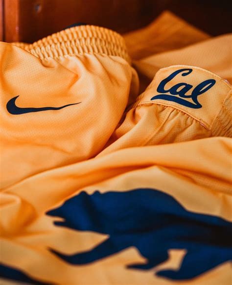 California Golden Bears 2023 2024 الطقم الاساسي