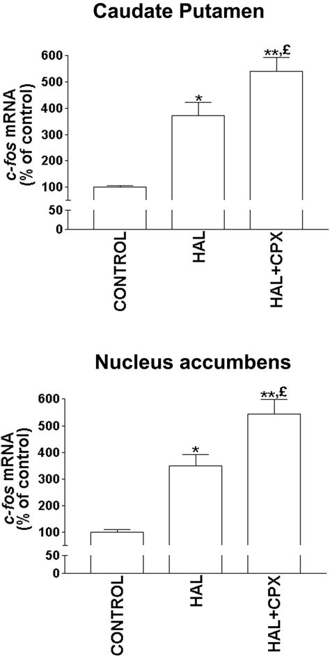 Ciproxifan A Histamine H3 Receptor Antagonist Inverse Agonist