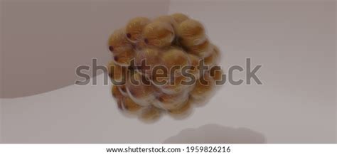 fatty accumulated cell membrane stock   images shutterstock