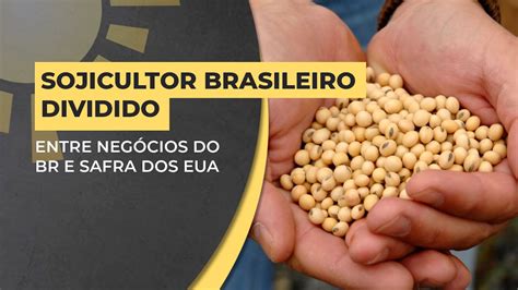 Soja Produtor brasileiro atento aos preços e negócios no BR além do