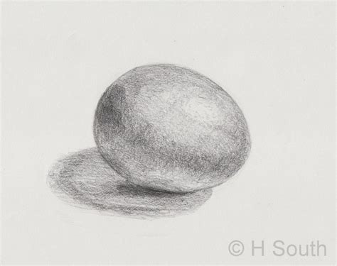 Pencil Shading Egg Exercise