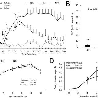 Kisspeptin Immunoreactivity And Relative Distribution Of Kisspeptin And