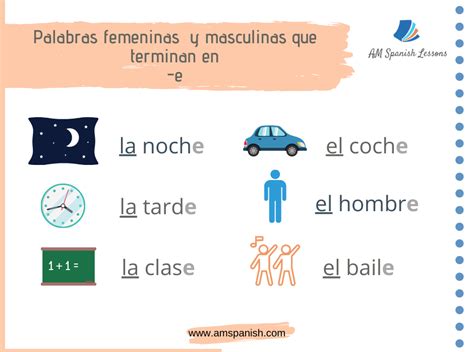 Rules To Learn The Gender Of The Nouns In Spanish Am Spanish Lessons