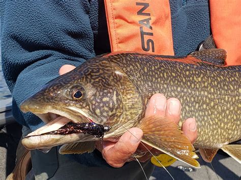 Spring Fishing Opportunities Along Lake Superiors North Shore