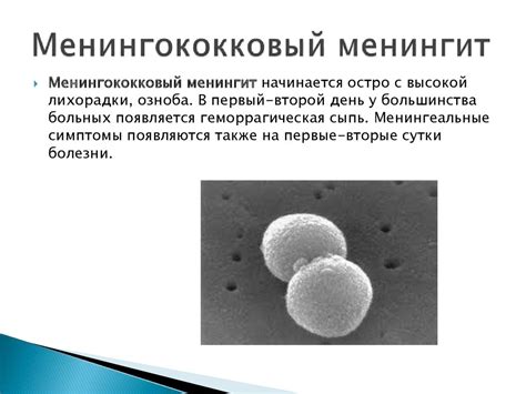 Деффиринциальная диагностика менингитов - презентация онлайн