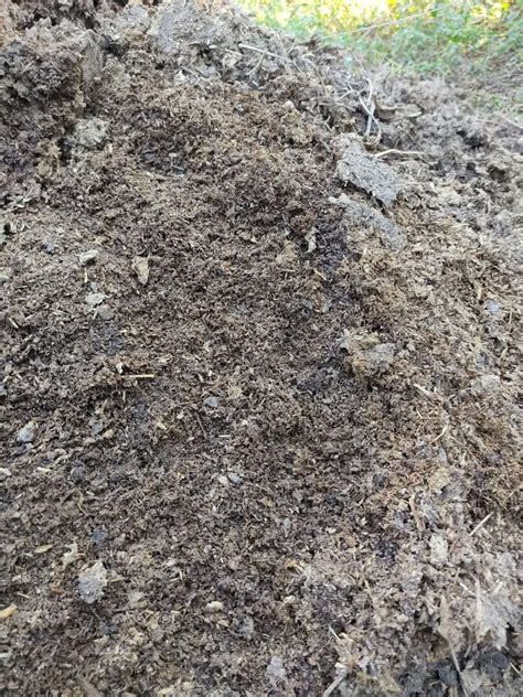 Organic Cow Dung Compost At Rs Kg Cow Waste In Sonipat Id