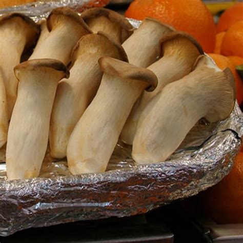 King Oyster Mushroom Nutrition Information Besto Blog