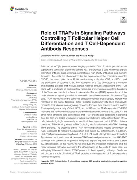 Pdf Role Of Trafs In Signaling Pathways Controlling T Follicular