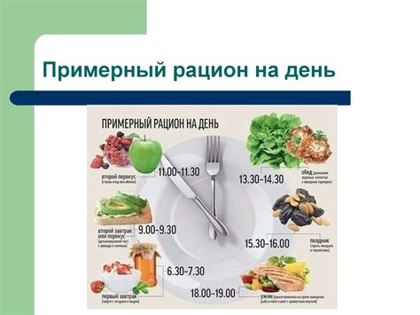Построение рациона питания
