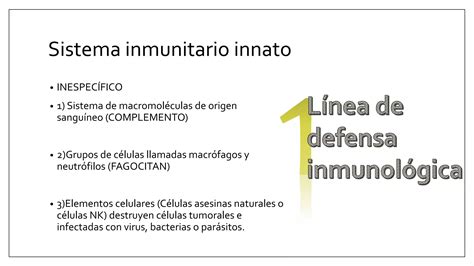 Tejido Linfoide Ppt