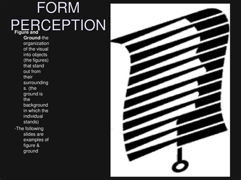 Perception Is The Process Of Organizing And Interpreting Sensory