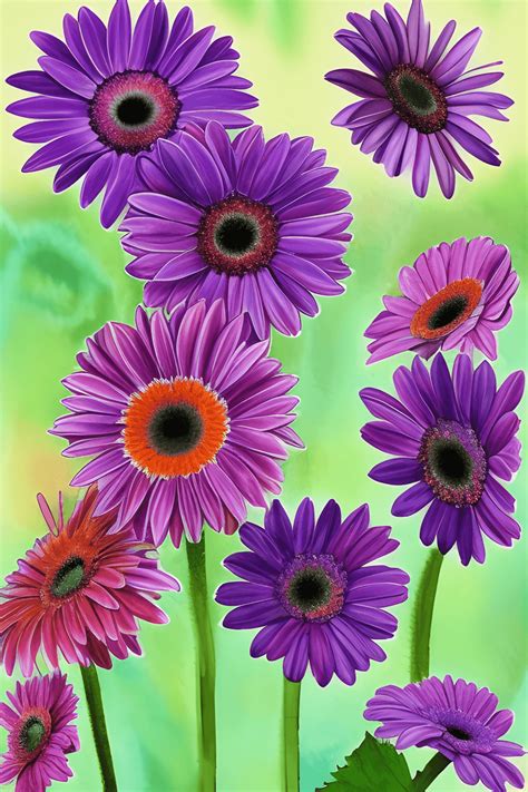 Purple Gerbera Daisies Watercolor Digital Art · Creative Fabrica