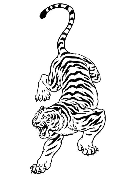 Premium Vector | Hand Drawn of Black and White Style Tiger