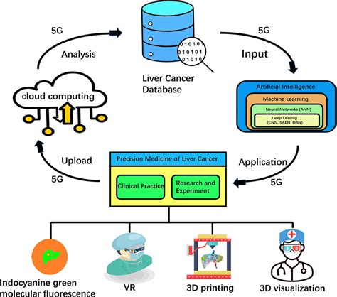 The Basic Architecture Of Digital Intelligent Liver Cancer Diagnosis