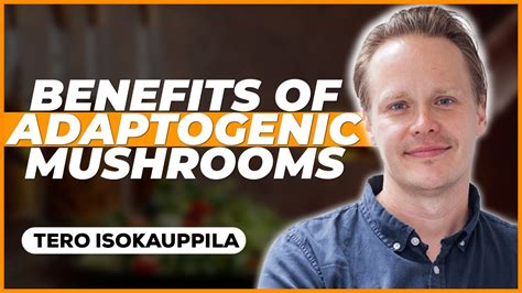 Improve Performance With Adaptogenic Mushrooms W Tero Isokauppila Youtube