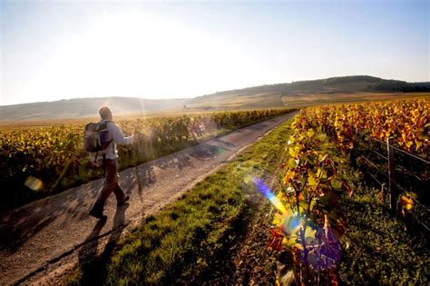 Exploring Burgundy La Bourgogne