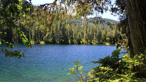 Opal Lake A Pretty Blue Pool In The Forest