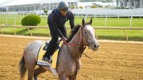 Preakness Stakes 2023 Odds Horses Kentucky Derby Winner Mage Blazing