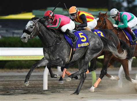 平安ステークス2019の競馬予想分析！3つのデータから導く危険な人気馬